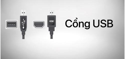 2 Cổng USB