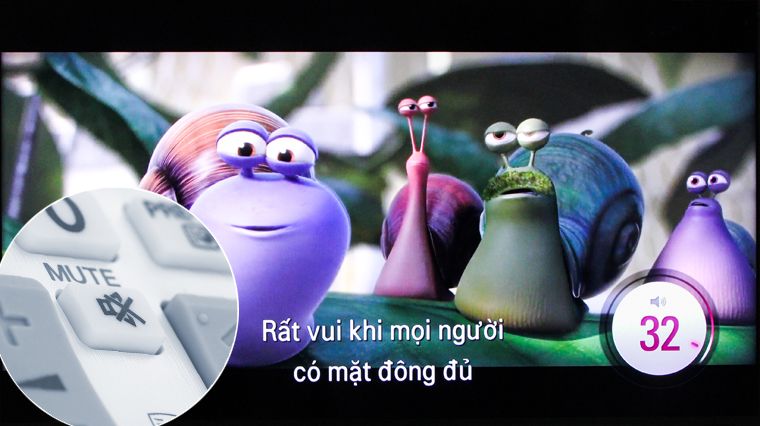 Do ấn nhầm nút Mute (tắt tiếng) trên remote