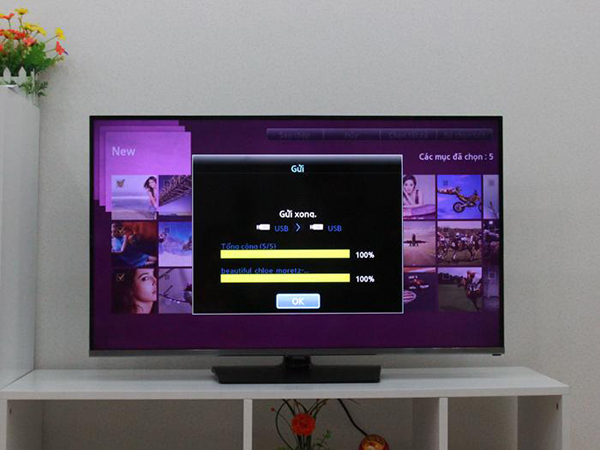 Hướng dẫn cách sao chép dữ liệu trên tivi TCL