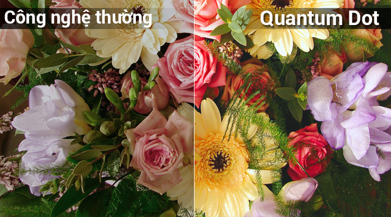 Công nghệ chấm lượng tử Quantum Dot