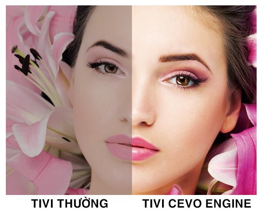 Công nghệ CEVO Engine Premium