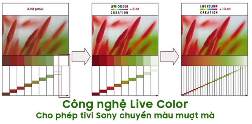 Công nghệ Live Color chuyển màu mượt mà trên tivi Sony