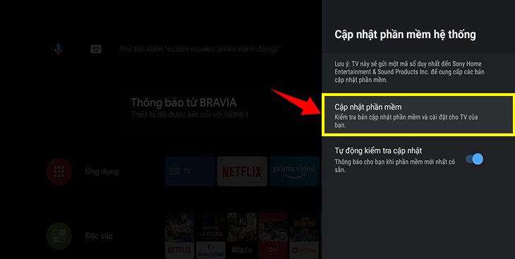 Cập nhật phần mềm: