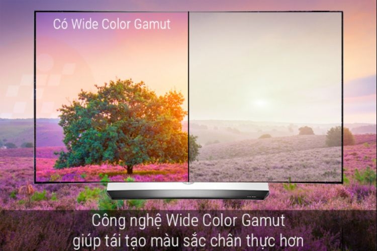 Công nghệ Wide Color Gamut (WCG)