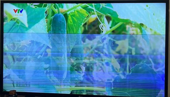 Biểu hiện của lỗi tivi Sharp bị xanh màn hình