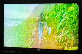 Hình ảnh Tivi Samsung Lỗi chồng ảnh 2 hình