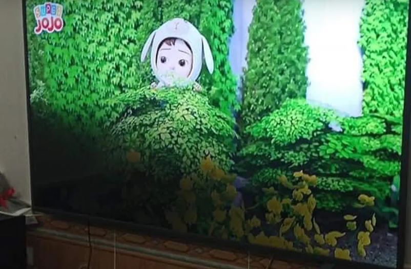 Tivi Panasonic bị đen nửa màn hình