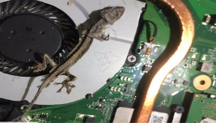 Tivi Hisense phát ra tiếng lạch cạch